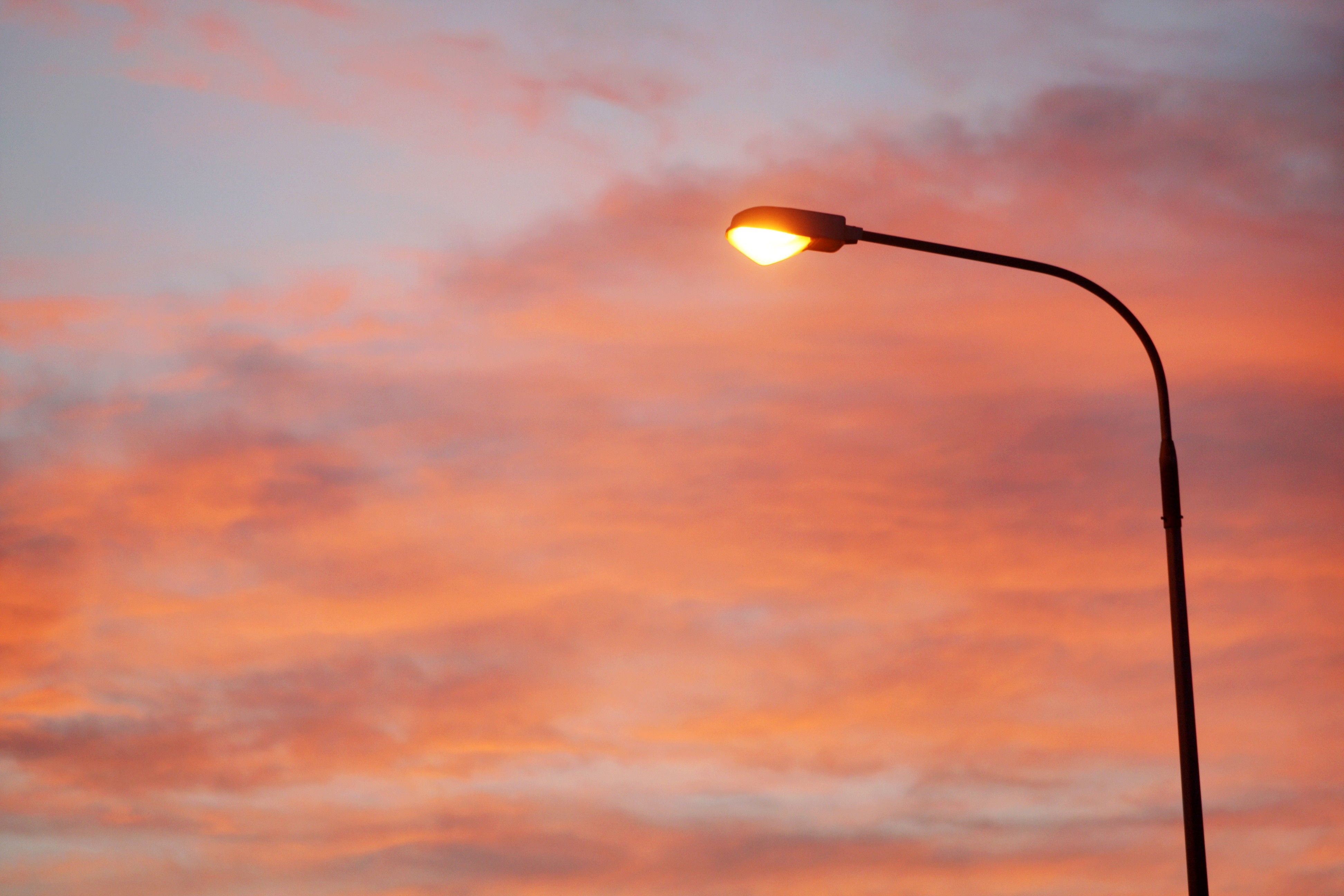 Dataset - Non-Building Energy Demand.jfif