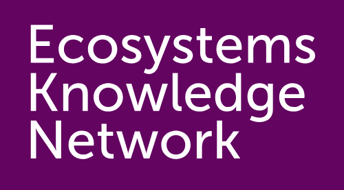 Provider Logo